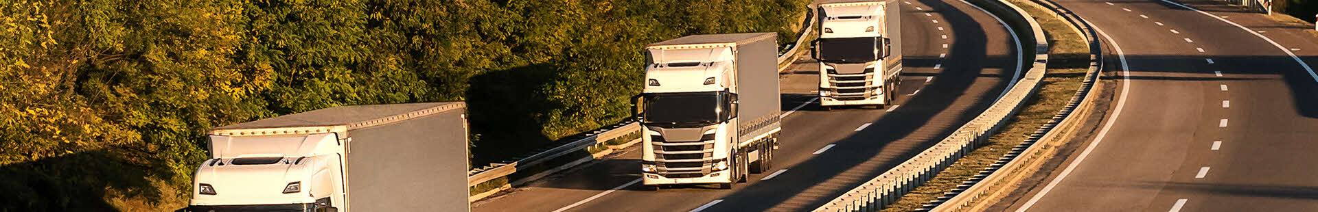 All Specialty products