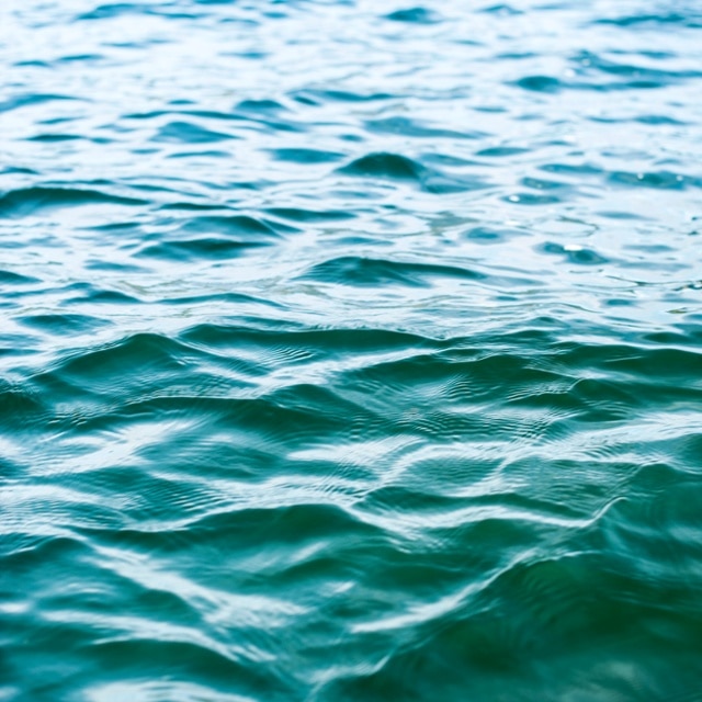 Understanding environmental insurance